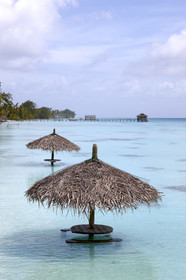 15_027868  ©ThMartinez Sea&Co.  FAKARAVA - ARCHIPEL des TUAMOTU. POLYNESIE FRANCAISE .  14 Février 2015. .