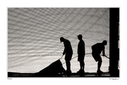 Photo disponible en tirage photo Fine Art,tirage original limités à 30 exemplaires.Chaque tirage est numéroté avec certificat d’authenticité signé.Pour choisir le format et support merci d'utiliser le caddie à coté de la photo.Formats disponibles : Tirage sur papier ( tirage seul) :  30x45 cm   40x60 cm  60x90 cm. Vous pouvez choisir le tirage avec un fond blanc ou noir , à votre convenance. Tirage sur papier contrecollé sur Dibond ( pas de bord blanc ou noir autour de l'image), avec système d'attache au dos:  30x45 cm   40x60 cm  50x75 cm  80x120cm.Tirage sur toile ( Canvas) monté sur chassis bois (pas de bord blanc ou noir autour de l'image), avec système d'attache au dos :  50x75 cm  80x120cm.Expédition ( Dans le monde entier): Colissimo (assurance) avec signature à réception. 48h pour la France métropolitaine.Il est possible de récupérer les tirages à La Galerie du Golfe (sans frais d'expèdition).Conditionnement tirages seuls: tube cylindrique renforcé + boite.