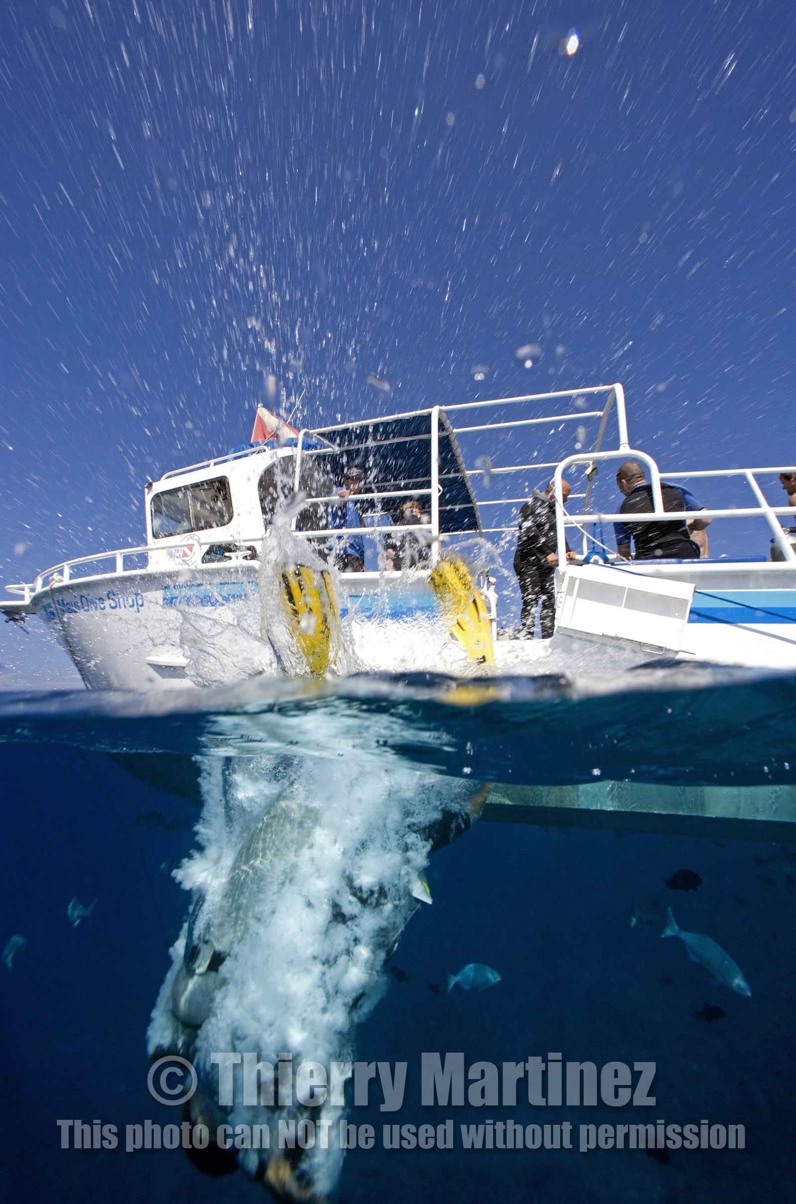 Diving in Maui HAWAII - USA . Jan 2007.