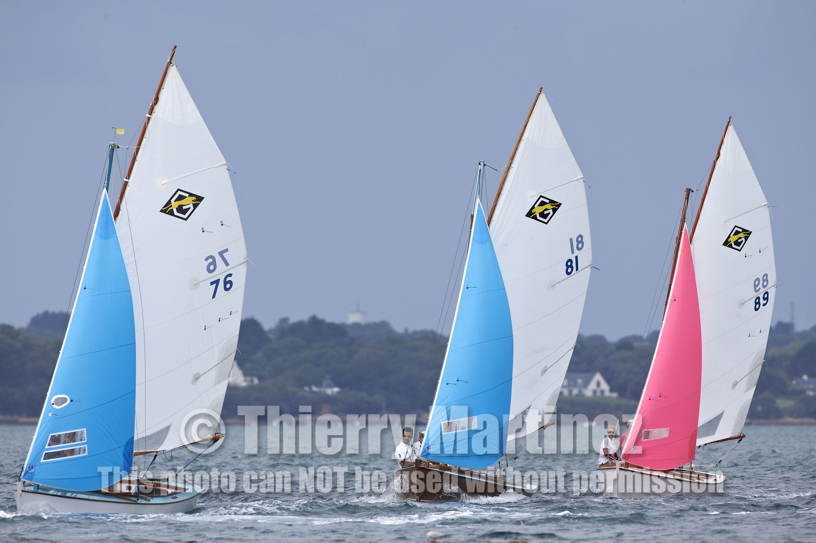 FESTIVAL DE LA VOILE 2014 -Ile aux Moines (Golfe du Morbihan)