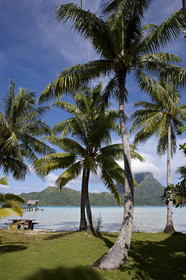 15_025932  ©ThMartinez Sea&Co.  BORA BORA - ILES SOUS LE VENT. POLYNESIE FRANCAISE .  6 Février 2015. . Bora Bora depuis Eden Beach Bora Bora..