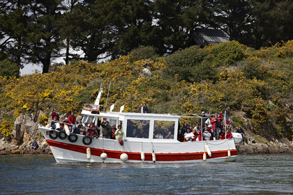 THM-15_48715-SEMAINE du Golfe