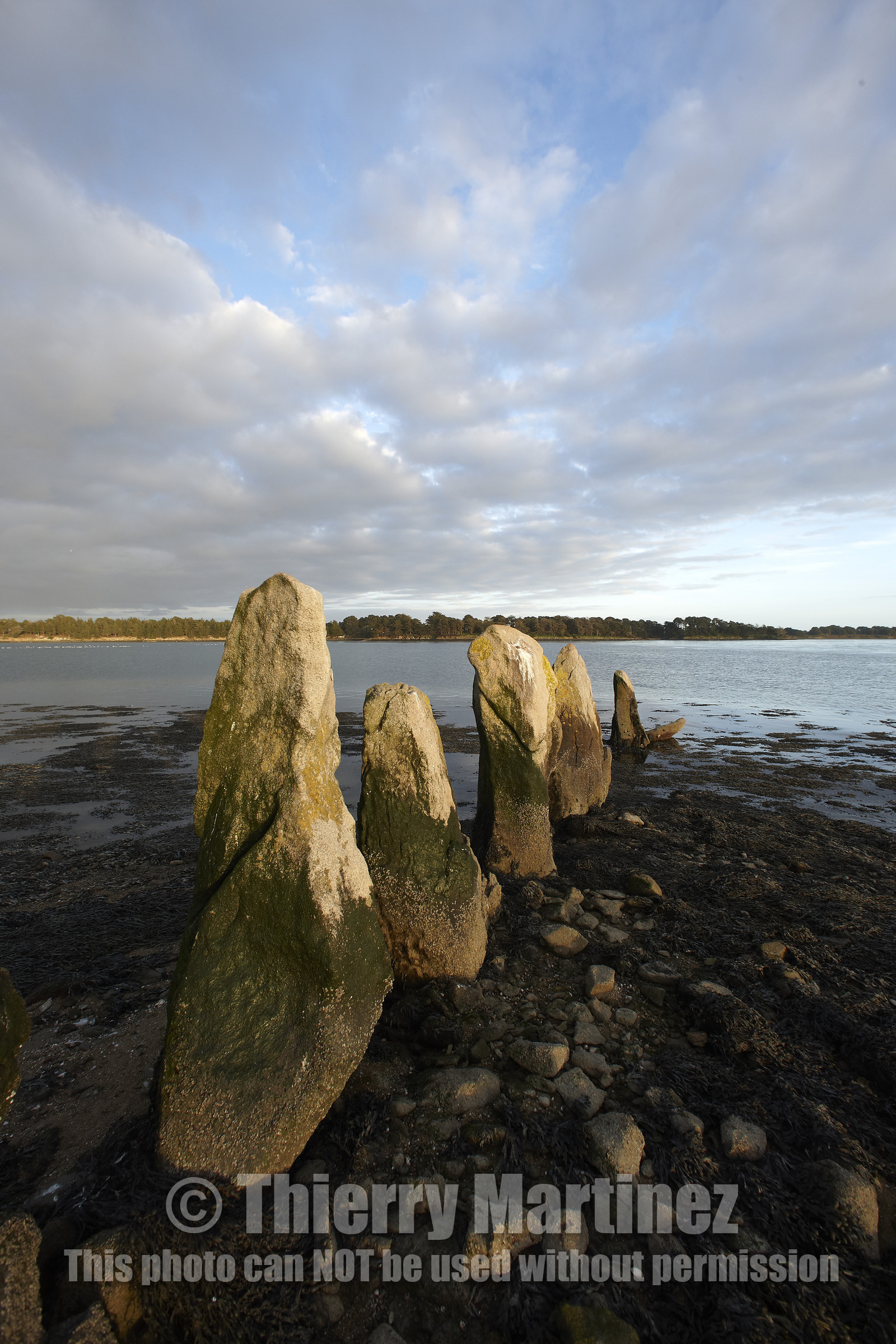 13_03288 Golfe du Morbihan