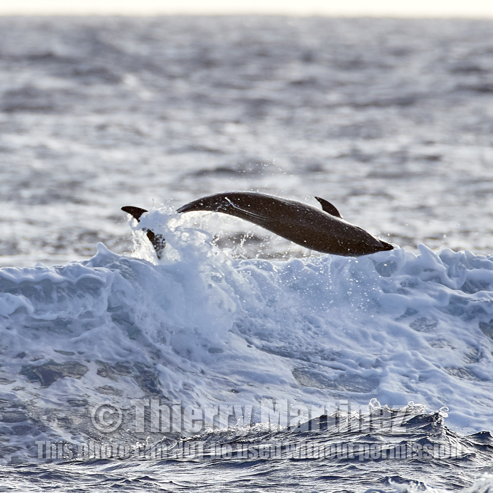 THM-18_039016_RANGIROA