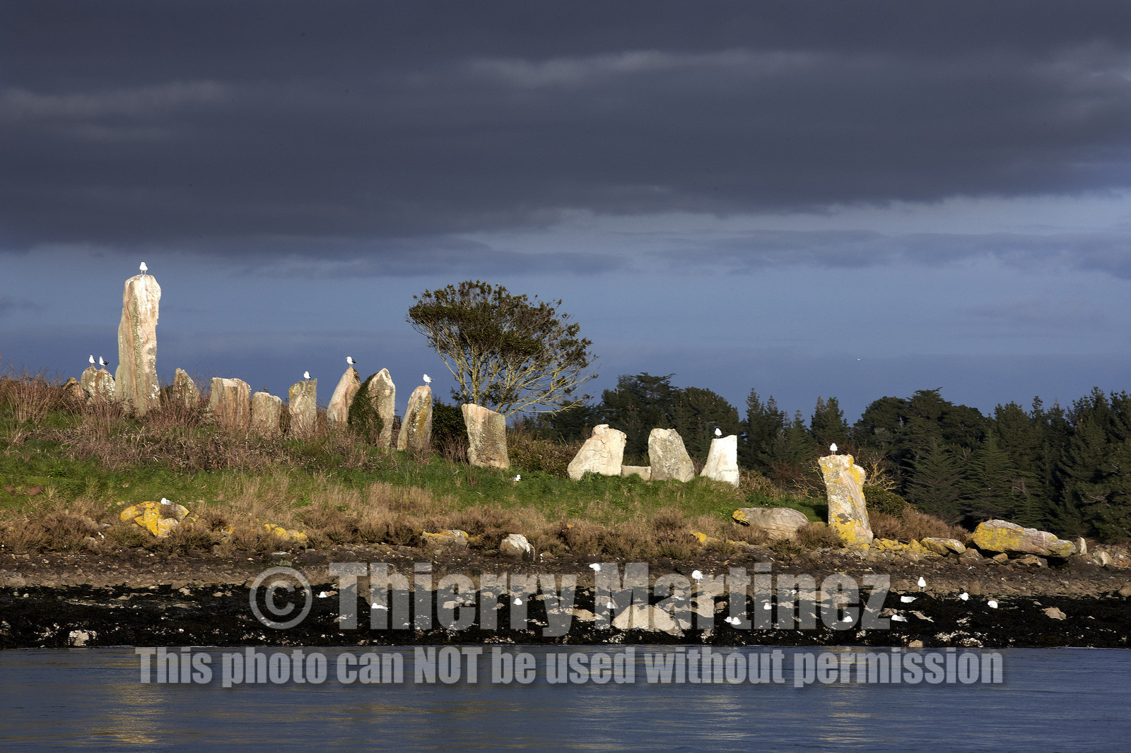 13_03200 Golfe du Morbihan