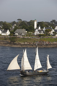 Semaine du Golfe 2015. Parade d'arrivée de la flotte.