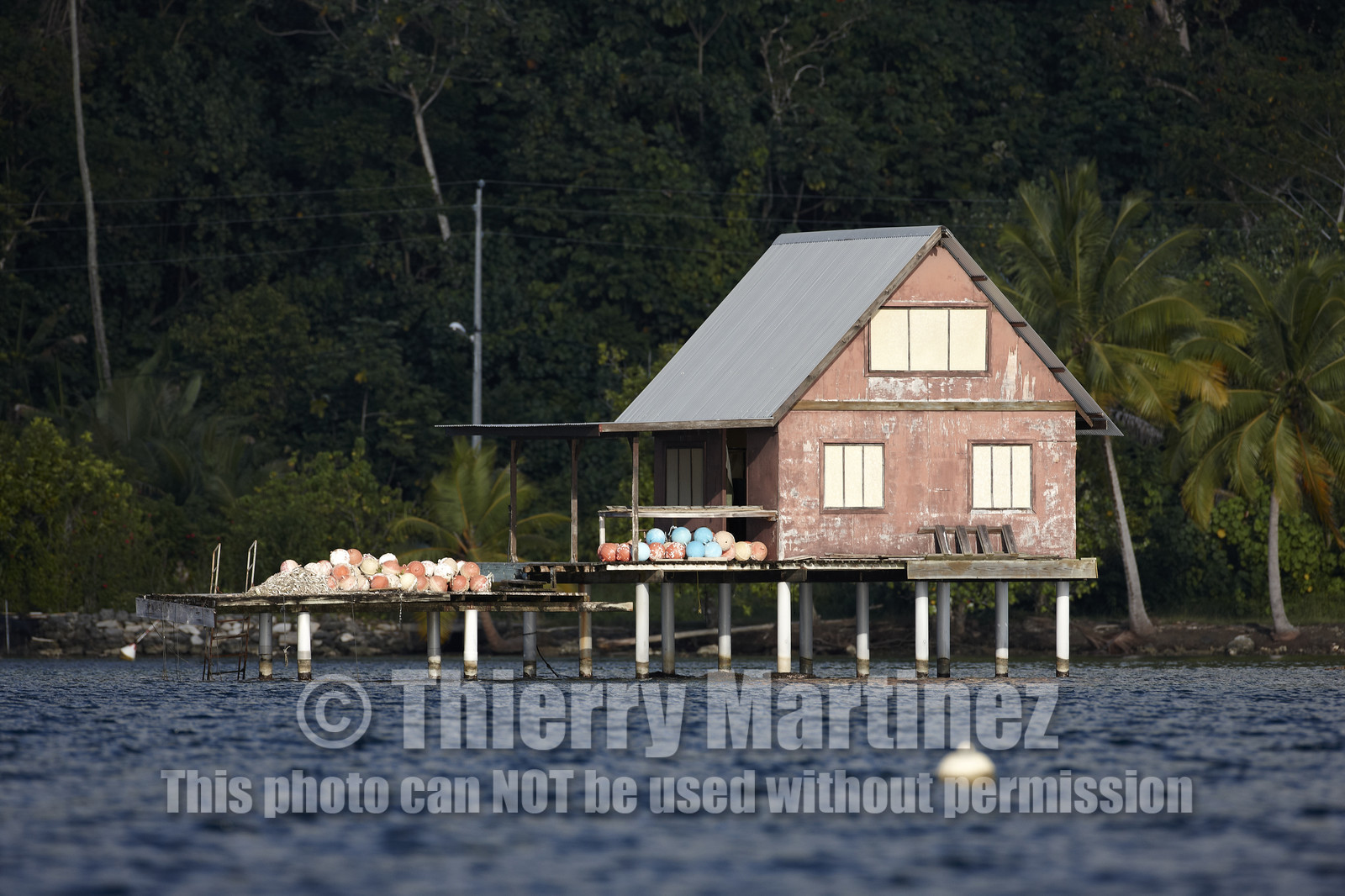 15_025274  ©ThMartinez Sea&Co.  RAIATEA - ILES SOUS LE VENT. POLYNESIE FRANCAISE .  2 Février 2015. ..FERME PERLIERE