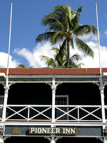Diving in Maui HAWAII - USA . Jan 2007.