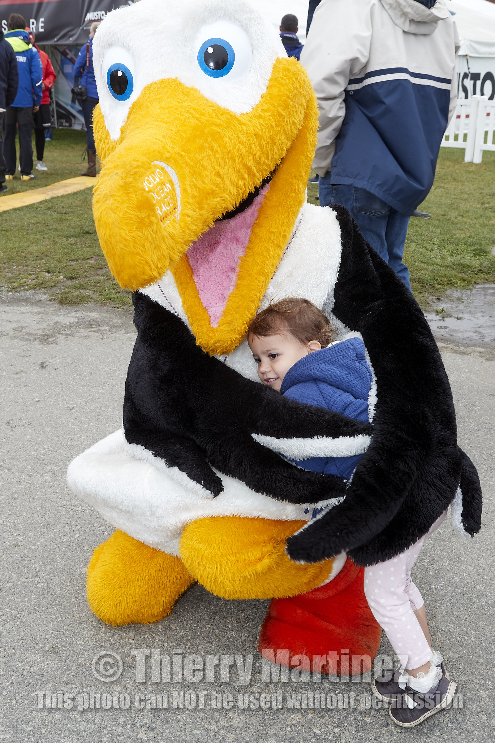 team AkzoNobel  in Volvo Ocean Race 2017-18.