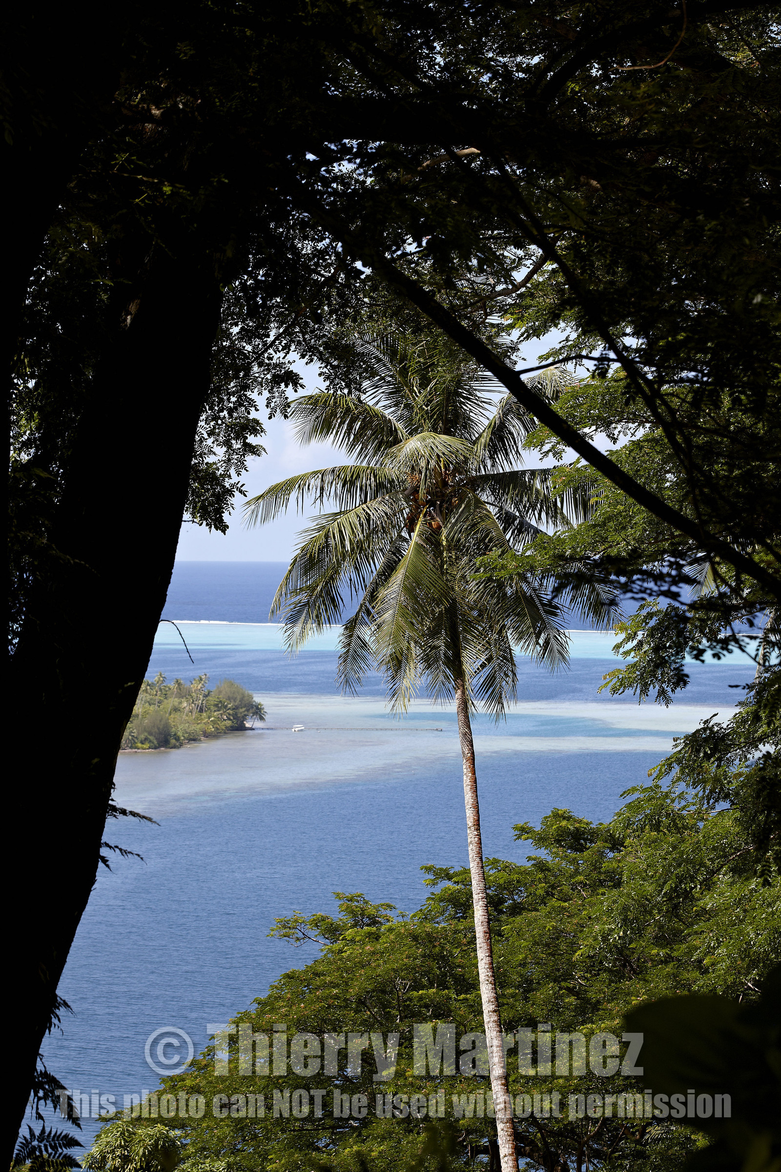 15_024389  ©ThMartinez Sea&Co.  RAIATEA - ILES SOUS LE VENT. POLYNESIE FRANCAISE .  2 Février 2015. ..