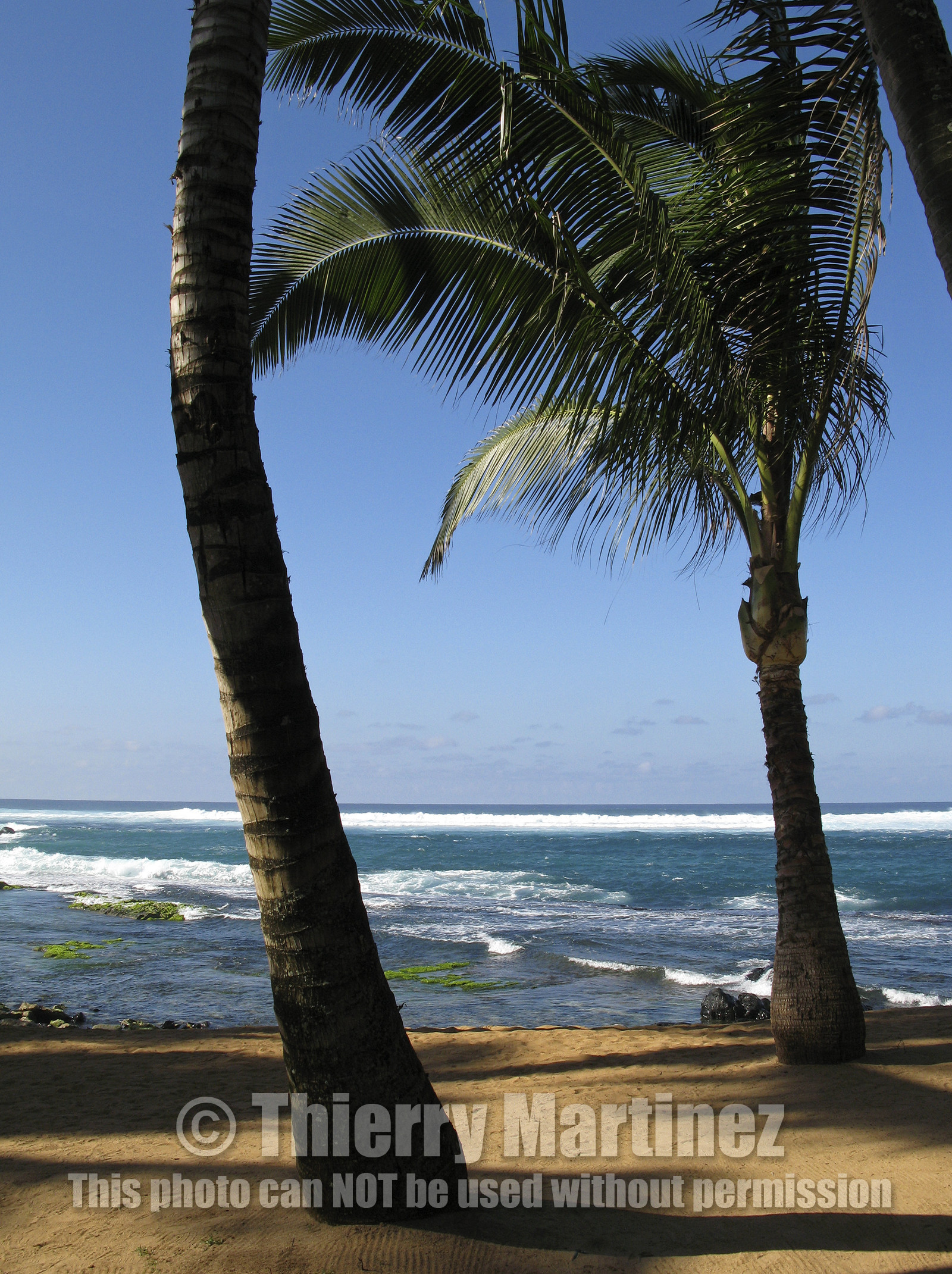 Maui - Hawaii Jan-Feb 2007