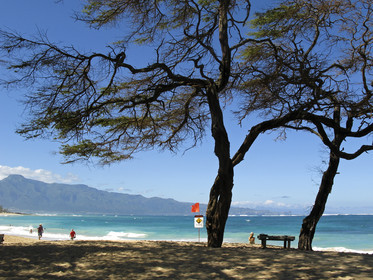 Maui - Hawaii Jan-Feb 2007