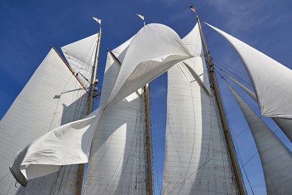 THM-21_23307_VOILES ST TROPEZ DAY 3